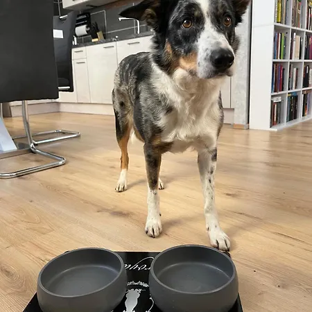 Ferienwohnung Lengenfeld * Lengenfeld (Saxony)